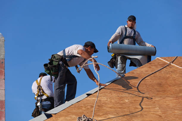 Best Roof Maintenance Services  in Barnesville, GA