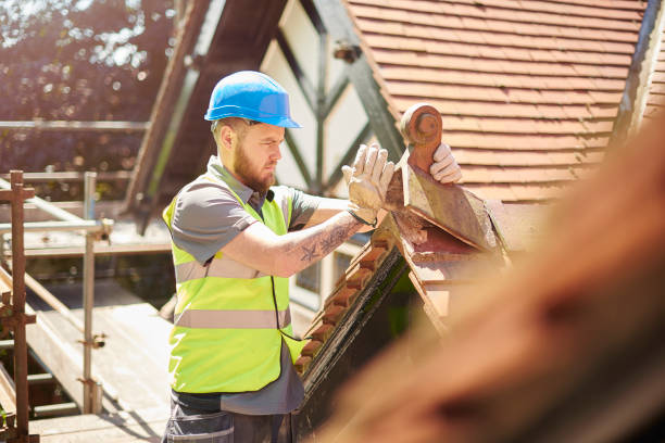 Best Gutter Installation and Roofing  in Barnesville, GA